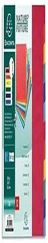 Exacompta 99H Premium-Register Nature Future für DIN A4 aus extra starkem Colorspankarton 12-teilig volle Höhe 21 x 29,7 cm vollfarbig 2 x 6 Farben mit Indexseite zum selbstgestalten Trennblätter