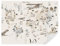 TAPEKO - Carta da Parati per Bambini, Fotomurali 260x180 cm, Mappa del mondo, Animali in diversi paesi, Viaggio, Bambini Fotografica Murale per Cameretta Bambini, u73882