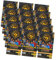 Panini FIFA Club World Cup 2025 – Cartes à collectionner – Coupe du monde – 15 boosters + carte d'anniversaire exclusive