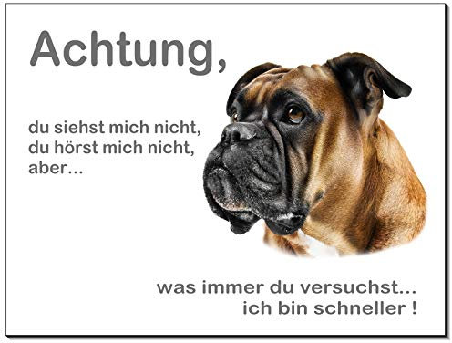 Boxer-Hundeschild-Schild-3 Größen-Aluminium Verbund-Hund-Tierschild-Warnschild-Hinweisschild (1452-49 -15 x 10 cm mit Klebepads)