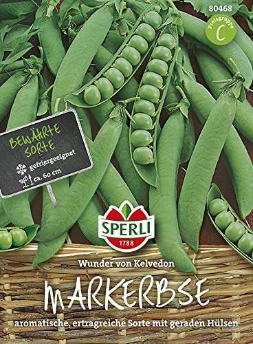 Markerbse Wunder von Kelvedon