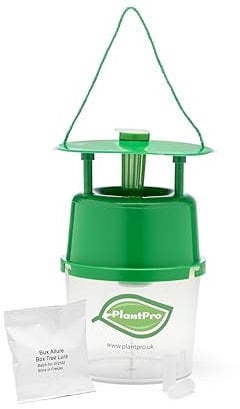 IPM Direct Box Tree Caterpillar Moth Trap - Includes 3 Pheromone Lures, Green, 10x22cm
