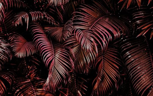 Rasch Carta da parati 363081 – Carta da parati fotografica su tessuto non tessuto con foglie di palma in rosa e nero della collezione Magicwalls – 3,00 m x 4,77 m (lunghezza x larghezza)
