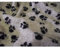 Kunstpelz Sherpa-Fleece Schafspelz Stoff Material - Kaschmir Tatzen - Kaschmir Tatzen, 1Mtr - 150cm x 100cm