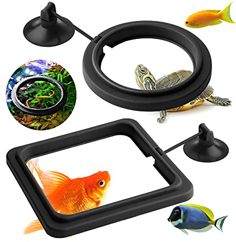 Molain Fischfutterring, 2 Stück Fischfutterstation Aquarium Fisch Schildkröte Tank Zubehör Futterspender Kreis für Guppy, Bettas, Goldfisch, Schildkröte (schwarz)