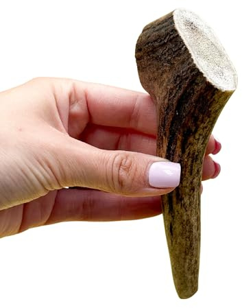 Antler Chew – Red Deer Antler Dog Chew Small (50–70g) | Whole Natural Long-Lasting Odourless Chew | Non-Splintering, Grain-Free, Sustainably Sourced | Dental Support for Puppies & Small Dogs
