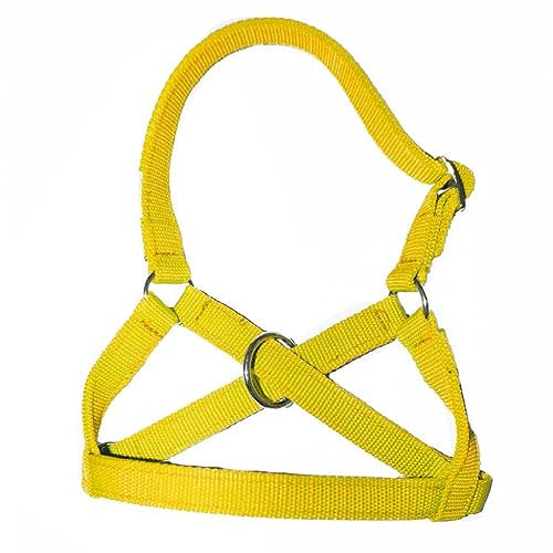 Brama West Alpaka Halfter in Allen Alpaka - Lama Größen, verstellbar, gelb, Gr. 40