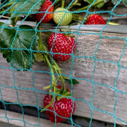 Elixir Gardens Anti Bird Netting 2m 4m 6m 8m 10m Garden Pond Fruit Vegetable Bird Flu Protection | Pigeon Seagull Magpie Starling Pest Detterrent | Green | 10m x 3m