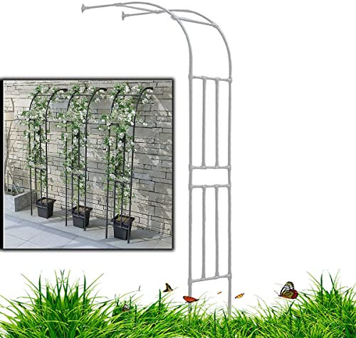 Pergola en métal pour jardin extérieur facile à assembler Blanc Dimensions : 220 x 240 cm (l x H)