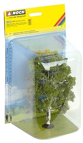NOCH® Doppelstämmige Birke, naturrealistischer Modellbau-Baum, 19 cm hoch für die Spurweiten 0, H0 ideal für kreative Projekte