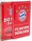 FC Bayern München Metallschild I Metallbild I 2er-Set I Rot I 21 x 15,5 cm I Deko I Fußball
