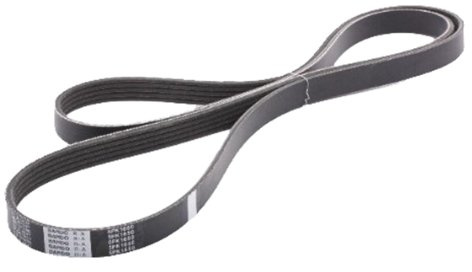 Japanparts DV-5PK1650 V-Ribbed Belts