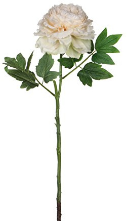 Mica Decorations Pfingstrose cremefarben 1005723 H: 63 cm