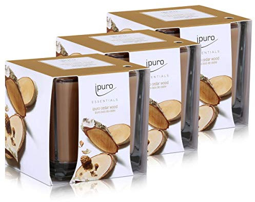 Essentials by Ipuro Duftkerze Cedar Wood 125g - Holzige Noten umschmeichelt von fruchtigen und blumigen Nuancen (3er Pack)