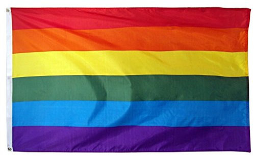 NAVA 1.5m x 0,9m Grand Polyester Suspendu Arc-en-ciel Gay Lesbienne Drapeau LGBT Pride Parade Paix