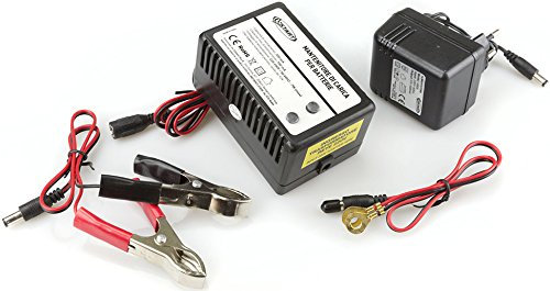 Start Maintien de Charge pour Batteries 12 V, Alimentation AC 220