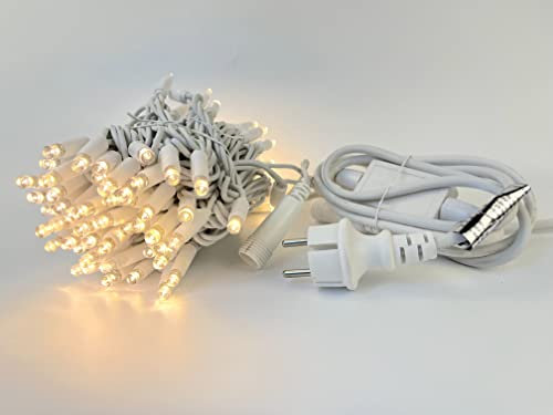 LEDZEIT - Profi Serie - LED Basis Lichterkette, mit Netzkabel, Dauerlicht, 10m, 100 Warmweiß LEDs, Erweiterbar bis 200m, Extra Robust, Profi-System, Innen und Außen, Weihnachten, Feiertage