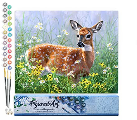 Figured'Art Malen Nach Zahlen Erwachsene Reh auf der Wiese - Paint by Numbers Basteln DIY Bastelset 40x50cm ohne Holzrahmen