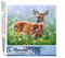 Figured'Art Malen Nach Zahlen Erwachsene Reh auf der Wiese - Paint by Numbers Basteln DIY Bastelset 40x50cm ohne Holzrahmen