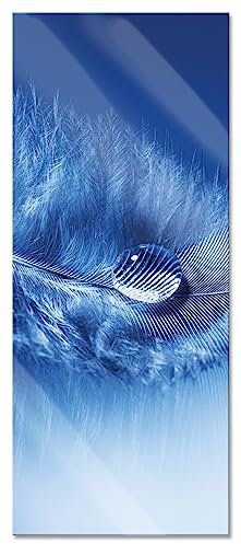 Pixxprint Glasbild Panorama, Wandbild aus Echtglas, Wassertropfen auf Feder, 100x40 cm, inkl. Aufhängung und Abstandshalter