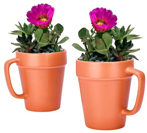 Regal Trunk & Co. Macetas Grandes de Plástico Juego de 2 Macetas Altas con Soporte 20 Alto x 10 Largo x 10 Ancho cm Macetas y Jardineras de Jardín Versátiles para Uso Interior y Exterior Maceta Decor