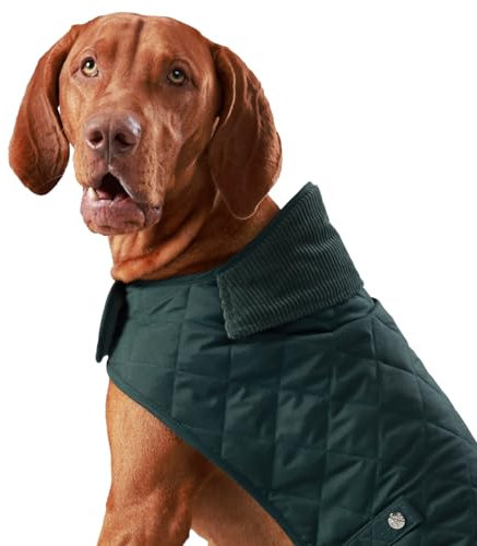 HUGO & HUDSON x Hackett Gesteppte Hundejacke Warmer Wintermantel mit Cordkragen, Waldgrün M45