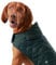 HUGO & HUDSON x Hackett Gesteppte Hundejacke Warmer Wintermantel mit Cordkragen, Waldgrün M45