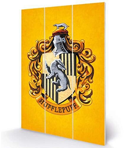 Harry Potter Wandbild aus Holz, mehrfarbig, 20 x 29,5 cm
