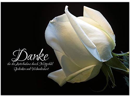 Trauer Danksagungskarten mit Umschlag | Motiv: Weiße Rose, 10 Stück | Dankeskarten DIN A6 Set | Trauerkarten Danksagung Danke sagen
