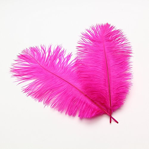 Sowder Pennacchio di Piume di Struzzo da 35 a 40 cm, per centrotavola per Matrimoni, Decorazioni per la casa, Confezione da 10 Pezzi (Fucsia)