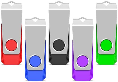 TEWENE USB Memory Stick 4GB USB Stick 2.0 Flash Drive 5-Pack,Thumb Drive Pen Drive,Usb Storage with Key Ring and Sticker for Computers, Cars and TVs