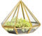 NCYP Handgemachtes Gold Offenes Glas Geometrisches Terrarium Messing Diamant Sukkulenten Farn Moos Pflanze Ausstellungsbehälter Balkon Kleines Pflanzgefäß Innen Herzstück (Keine Pflanzen)