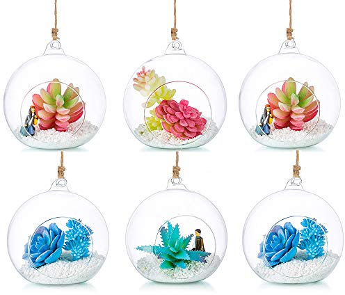 Hängende Glaskugel Vase Glaskugel 6 Pcs Große Öffnung Sukkulenten Aufhängen Terrarium Glas Flower Air Pflanzgefäß Container 4.72 Inches für Home Party Hochzeitsgarten DIY Desig