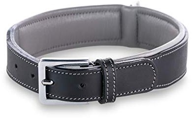 Jack & Russell Premium Hunde Leder Halsband Amy - Lederhalsband aus Echtleder - gepolstert - robust & elegant Amy (M, Schwarz/Grau)