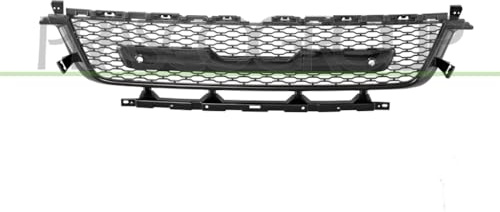 Bumper grille in the middle, black