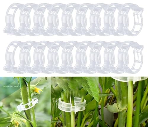 100PCS Plant Support Clips,Garden Plant Support,Plant Clips for Climbing Plants,Vine Clips Flower Stem Clips for Fixing Tomatoes, Vegetables, Cucumbers (White)