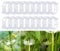 100PCS Plant Support Clips,Garden Plant Support,Plant Clips for Climbing Plants,Vine Clips Flower Stem Clips for Fixing Tomatoes, Vegetables, Cucumbers (White)