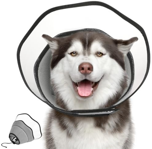 VavoPaw Collari Protettivi e Coni per Cani, Collare di Recupero per Cani Regolabile Morbido per Animali, Collare Elisabettiano Traspirante per Cani Dopo Interventi Chirurgici, XXL, Grigio+Tasparente