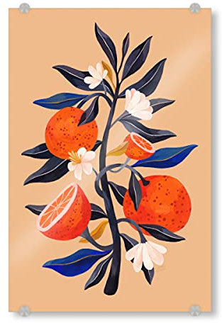 artboxONE Acrylglasbild 150x100 cm Natur Flaming Garden - Orangenbaum - Bild orange Botanical botanik