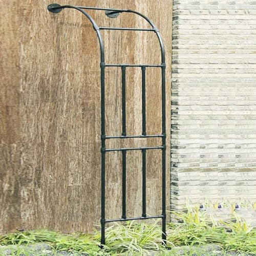 MISKYN Garten Bogen Thruster, Bogen Für Rosen Halbbogen Für Kletterpflanzen, Unterstützung Für Rosen Im Freien Rohrunterstützung Edelstahl Rostschutz,Weiß,120 * 240cm