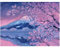 DCIDBEI 50 x 40 cm Diamond Painting square drill, Diamant Malerei Landschaft Japanische, Kirschblüten Leinwand für Erwachsene Kinder, Kristall Handwerk Inneneinrichtung | Berg Fuji