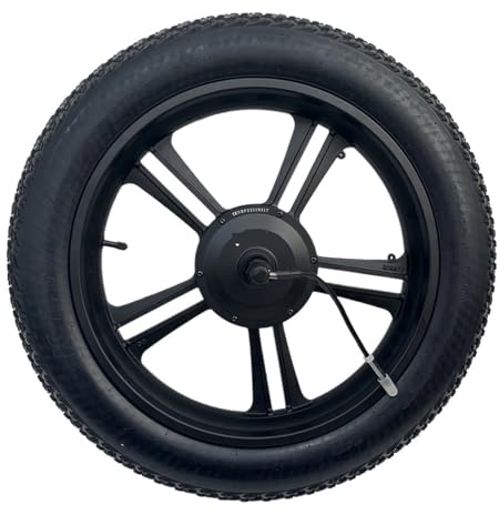 SMTYXS 20-Zoll-Rad Mit Integriertem Bürstenlosem Getriebenabenmotor (36/48 V, 500 W) for Fatbikes Und Snowbikes, 170 Mm Ausfallende, 20x4,0-Reifen