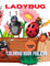 Lady bug coloring book for kids ages 4-8: colorful , sweet and wonderful lady bugs coloring book for kids ,boys and girls who love lady bug ( 8.5 x 11 inches)