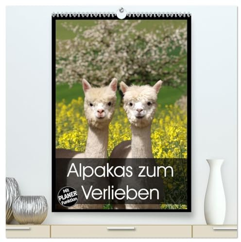Alpakas zum Verlieben (hochwertiger Premium Wandkalender 2026 DIN A2 hoch), Kunstdruck in Hochglanz: Alpakas - Tiere, in die man sich einfach verliebt (CALVENDO Tiere)
