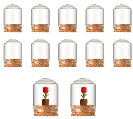 ASTRQLE Mini-Glasglocken mit Korkboden, 3,8 x 4,9 cm, 12 Stück | Rutschfest, staubdicht, feuchtigkeitsbeständig, kompakt, leicht, dekorative Glaskuppel für Blumen, Zuhause, Hochzeit