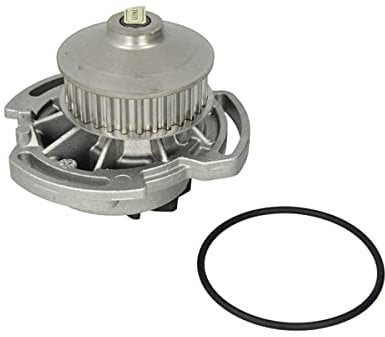 Hepu P533 Wasserpumpe