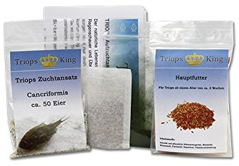 Triops Cancriformis Urzeitkrebse Starter Set Plus mit ca 150 Urzeitkrebs-Eiern / Zysten von Triops King aus Deutschland, Anleitung zur Zucht und Jungtier-Futter und Hauptfutter - Züchte jetzt deine eigenen Urzeitkrebse