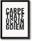 wohnstil POSTER Druck Carpe that fucking diem Spruch Print für Alltagshelden DIN A4 Bild schwarz-weiß Humor Weißheit, ungerahmt!