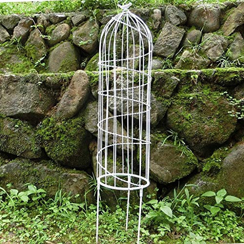 ksamwjf Schmiedeeisen Metallgitter Blumenständer, Pflanzen Turm Obelisk, Hausgarten Kletterpflanzen Blumenständer, Gestell Pflanzer Rahmenhalterung Gemüse Blumen Display Zubehör