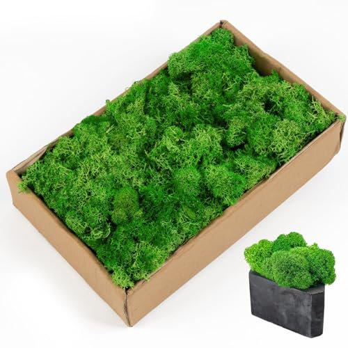 AIYONG Islandmoos, Grün, 200 g Echtes Natur-Moos, Konserviert, Gereinigt zum Basteln, Deko-Moos zu Ostern, Halloween, Weihnachten für den Modellbau, Handgefertigt, Moosbild Deko, Garten, Außenbereich